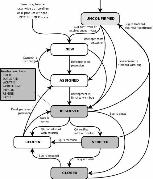 Bug Life Cycle Steps