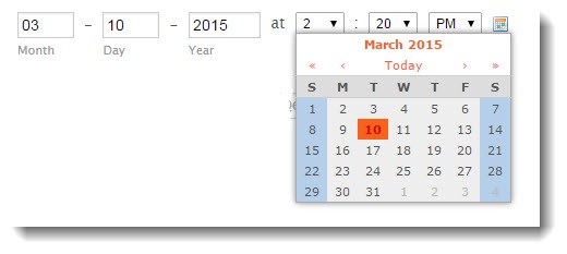 Date-field-test-cases