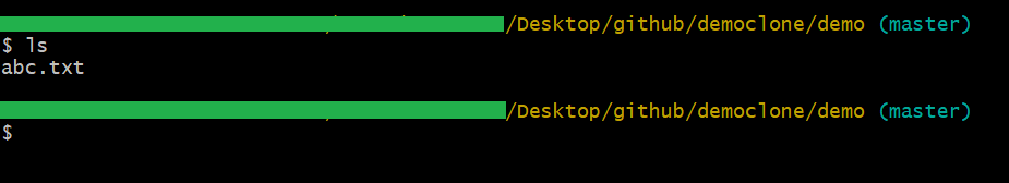 Check File Of Local Repository