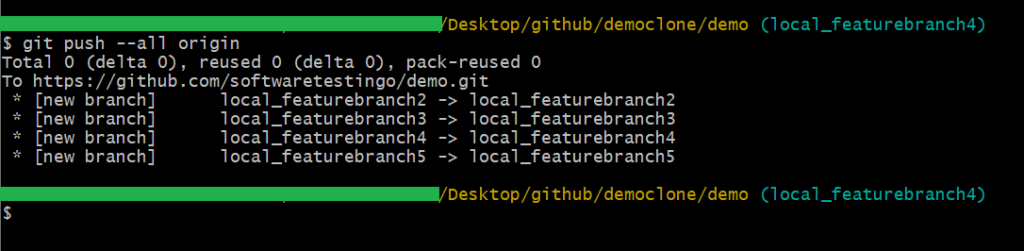 Push All Local Branches to Remote Repository
