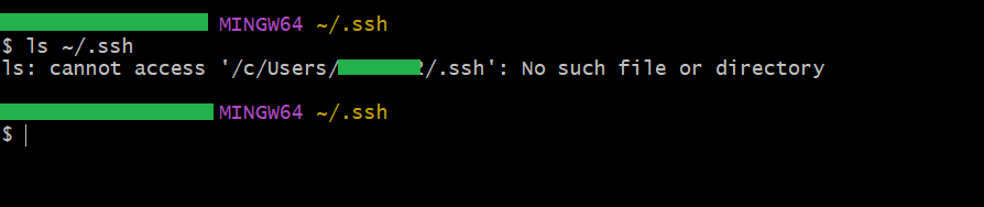 When No SSH Key