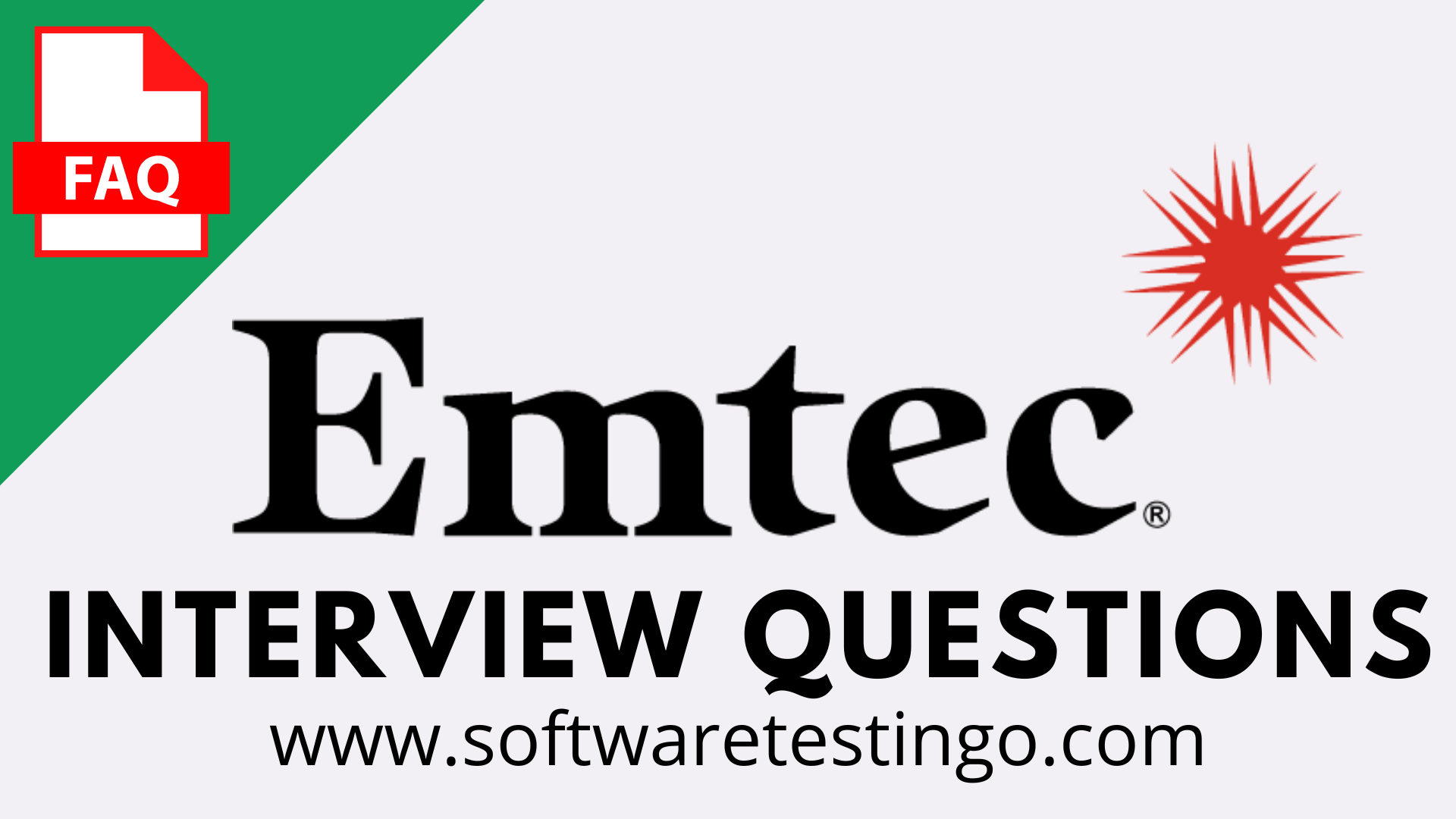 Emtec Inc Interview Questions